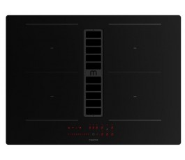.Despiece INDU MAX X 70
