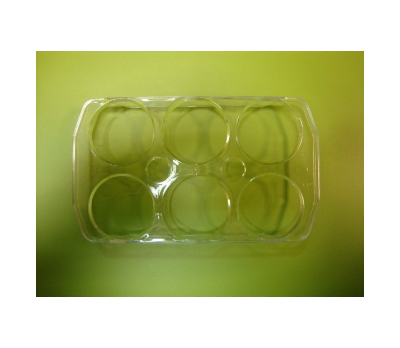Huevera transparente (6 huevos)