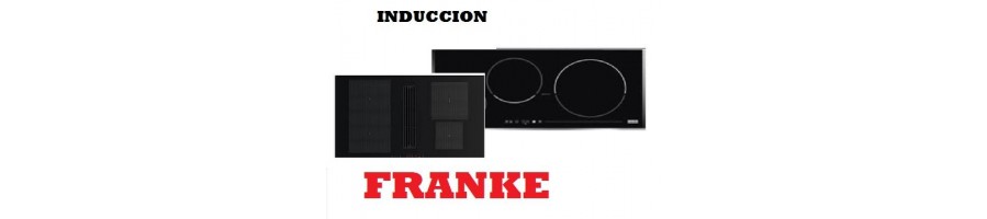 PLACAS INDUCCION